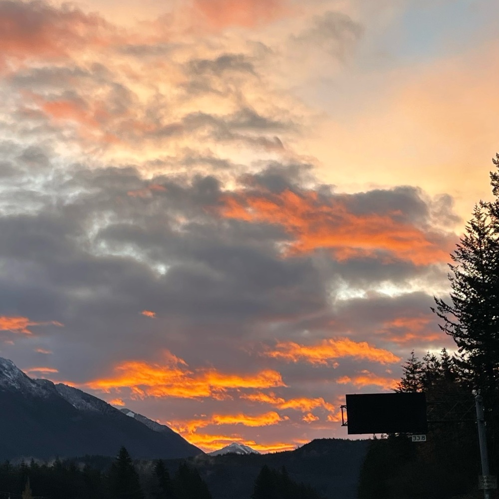 Meet your Posher, Freja